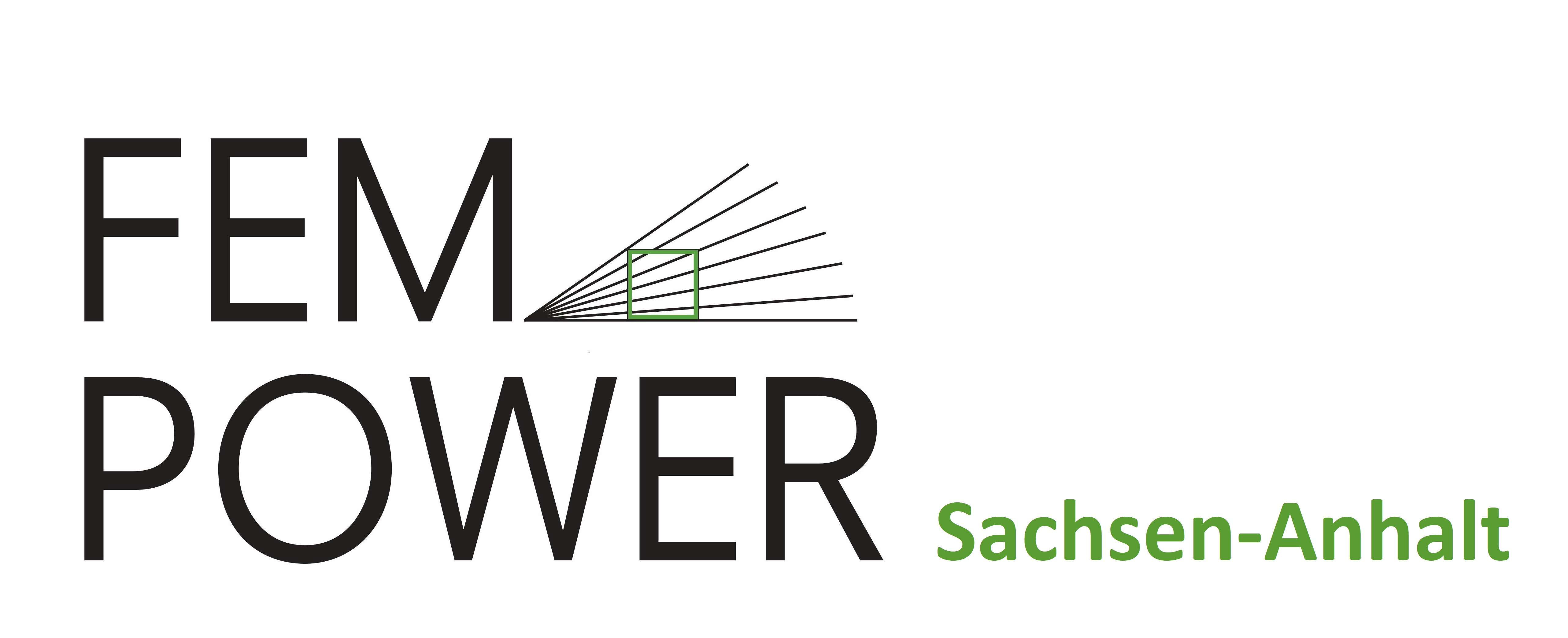 FEM POWER Logo_LSA
