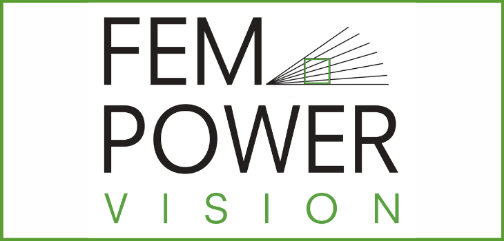 FEM POWER Vision Header